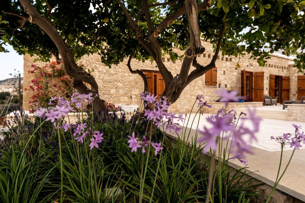 Harma Traditional Boutique Suites Paphos Ngoại thất bức ảnh